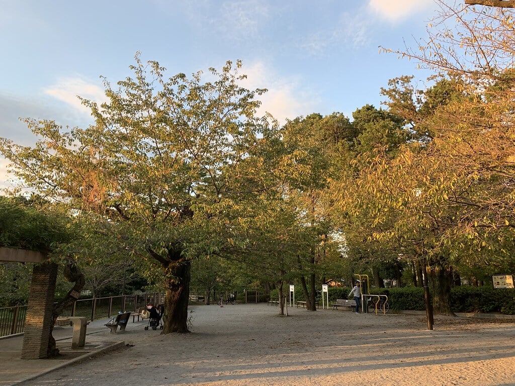 洗足池公園の写真15