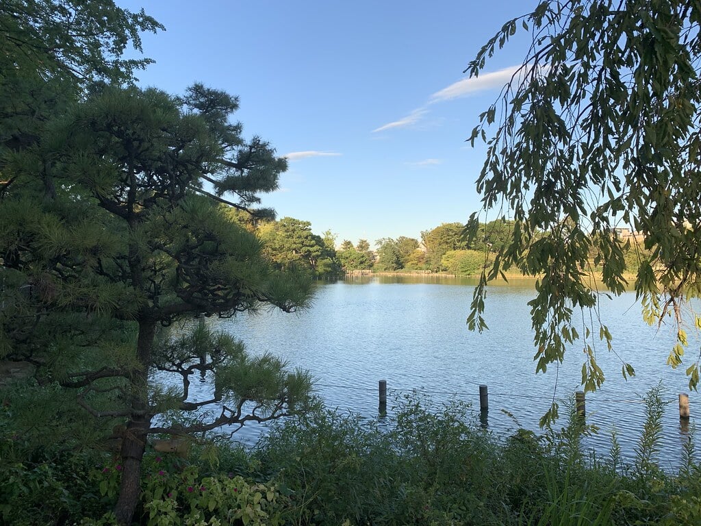 洗足池公園の写真16