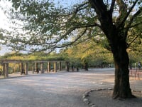 洗足池公園