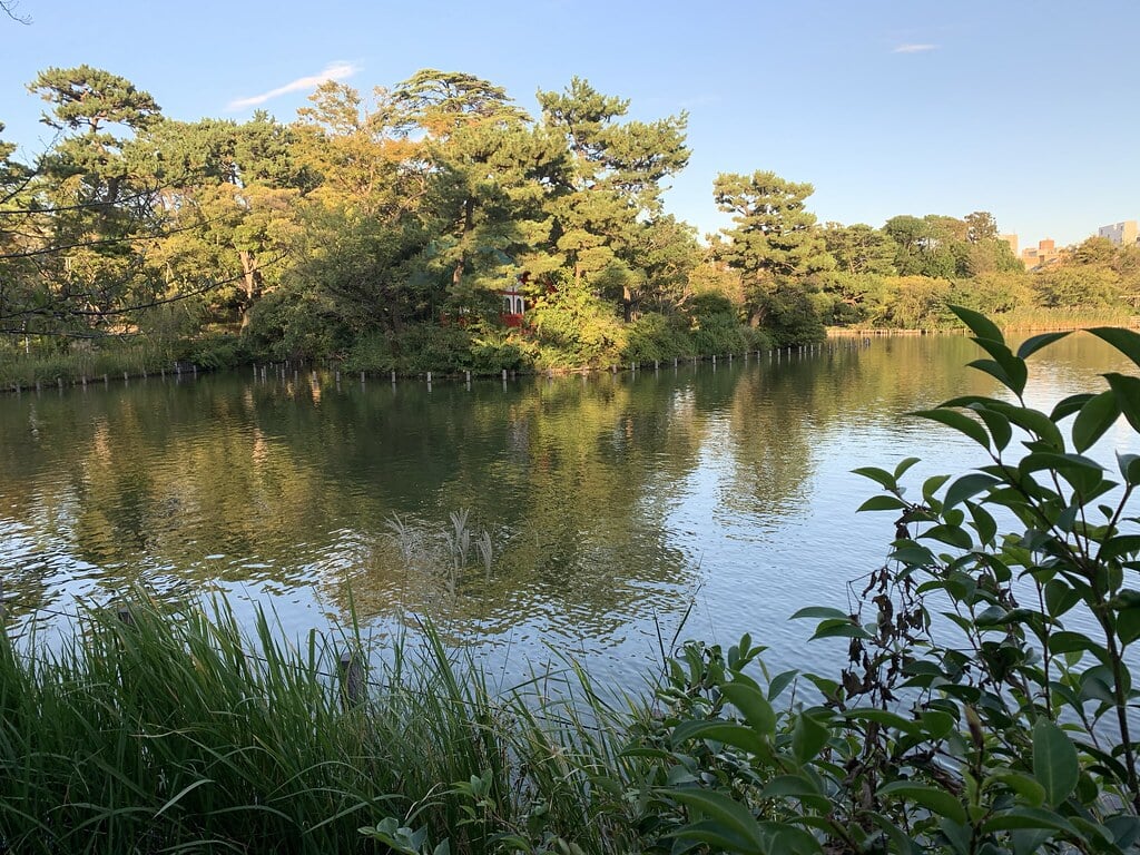 洗足池公園の写真17