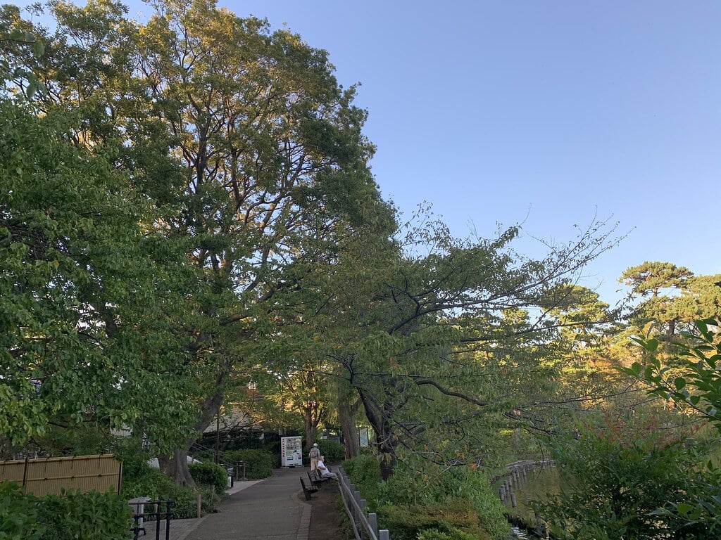 洗足池公園の写真18