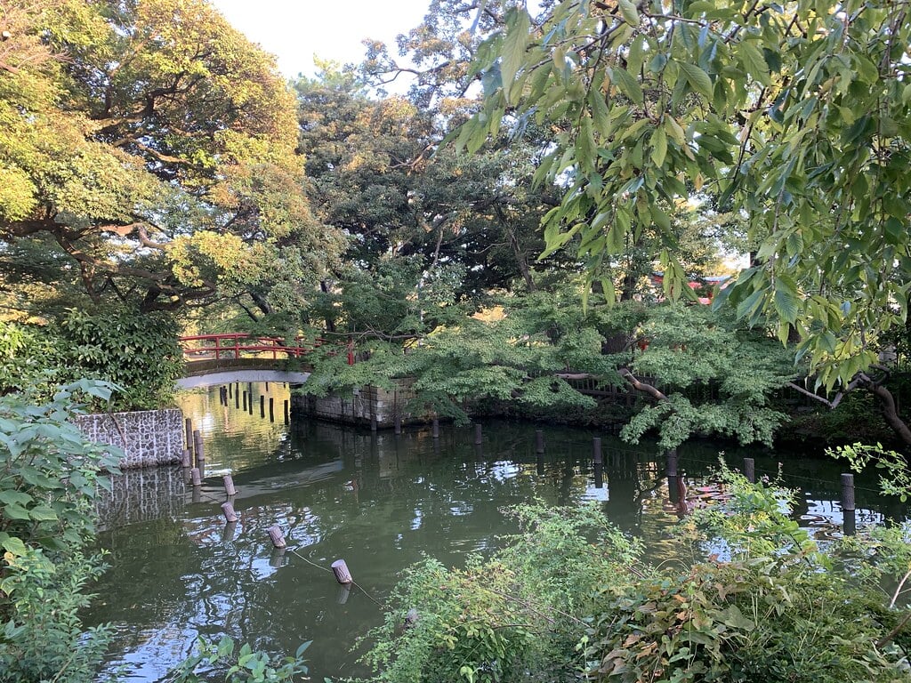 洗足池公園の写真19