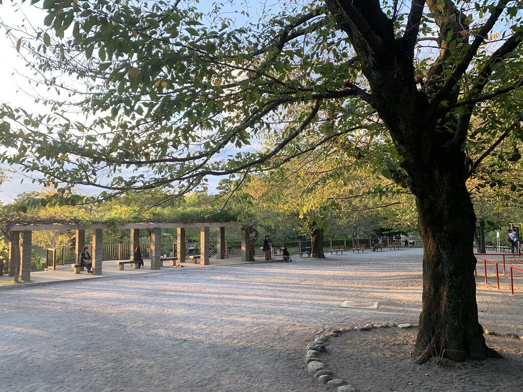 洗足池公園の写真1