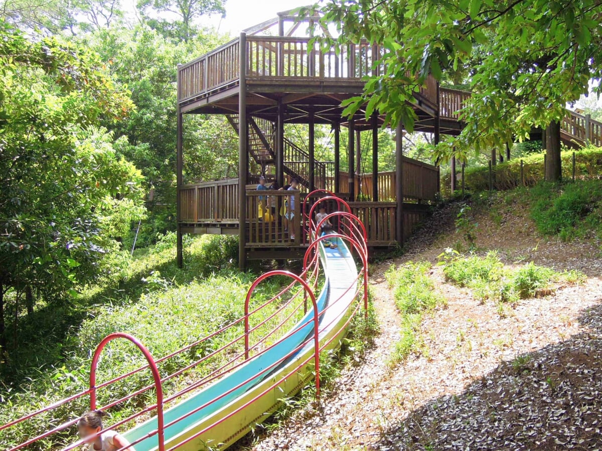 坂田ヶ池総合公園の写真1