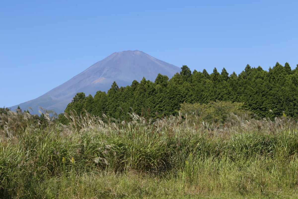 忠ちゃん牧場の写真1