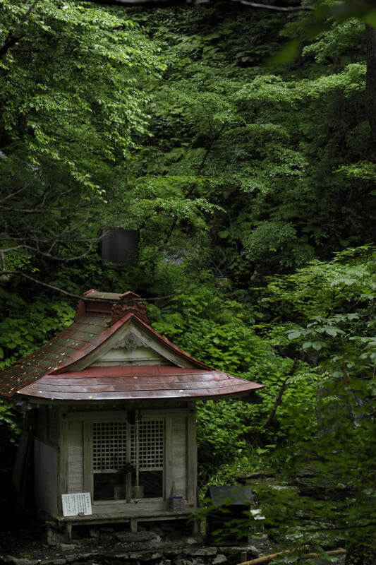 阿弥陀ヶ滝の写真2