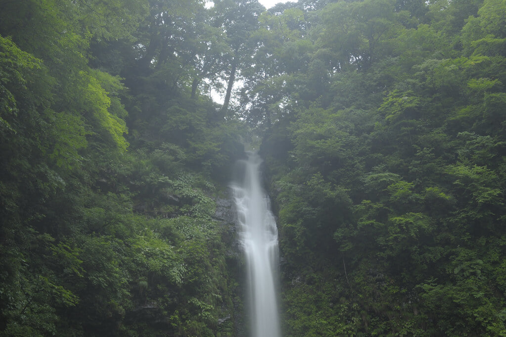 阿弥陀ヶ滝の写真1