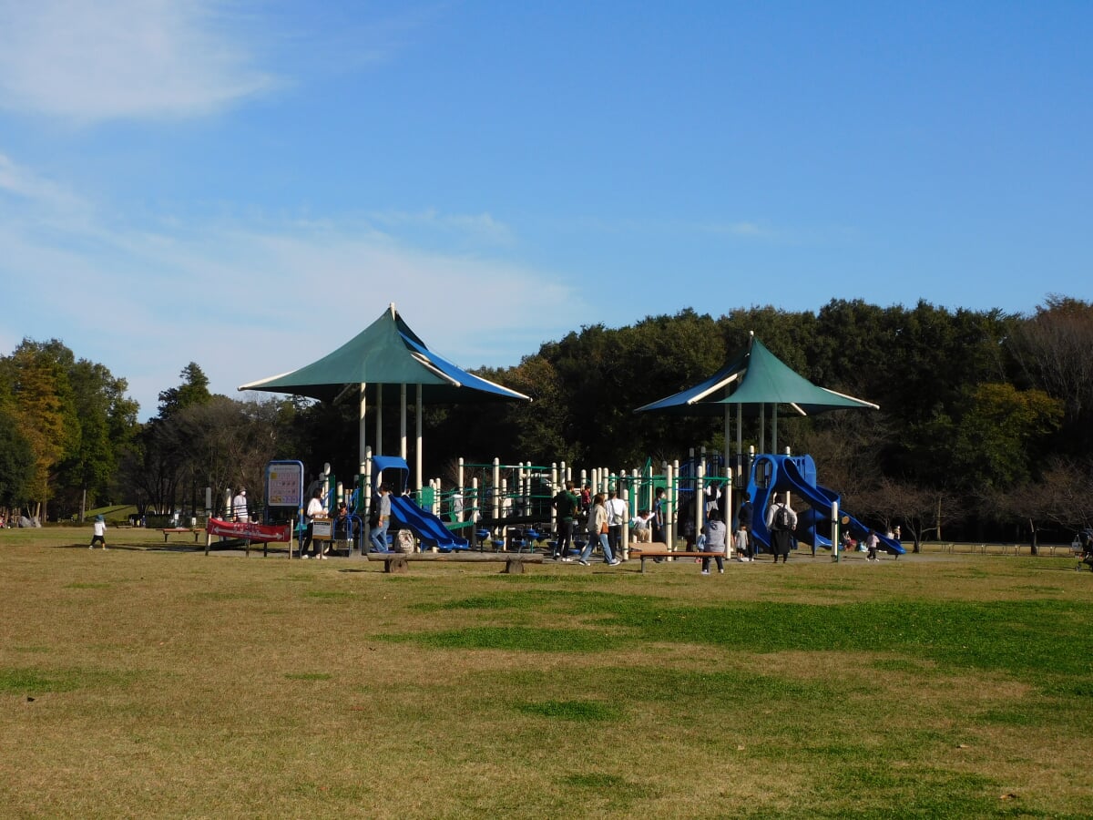 みずほの自然の森公園の写真4