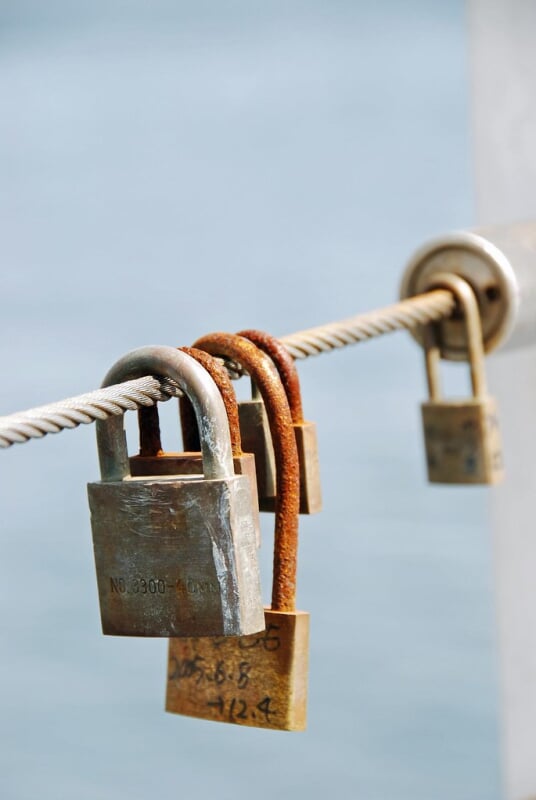 新港パークの写真2