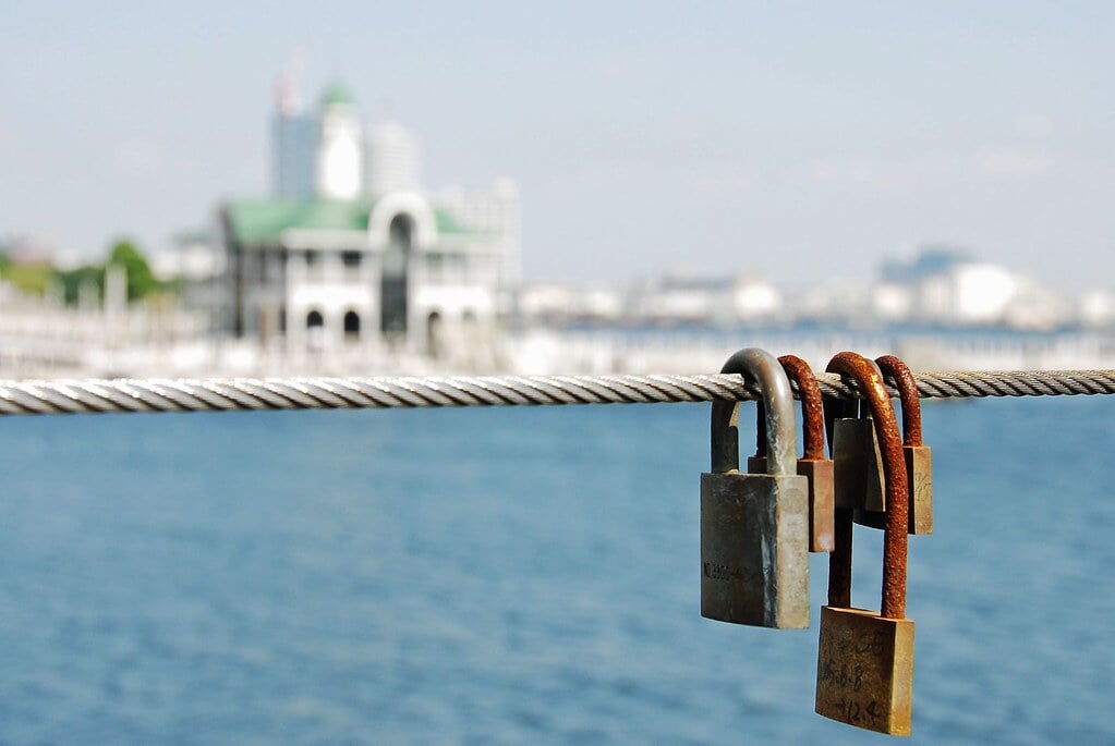 新港パークの写真3