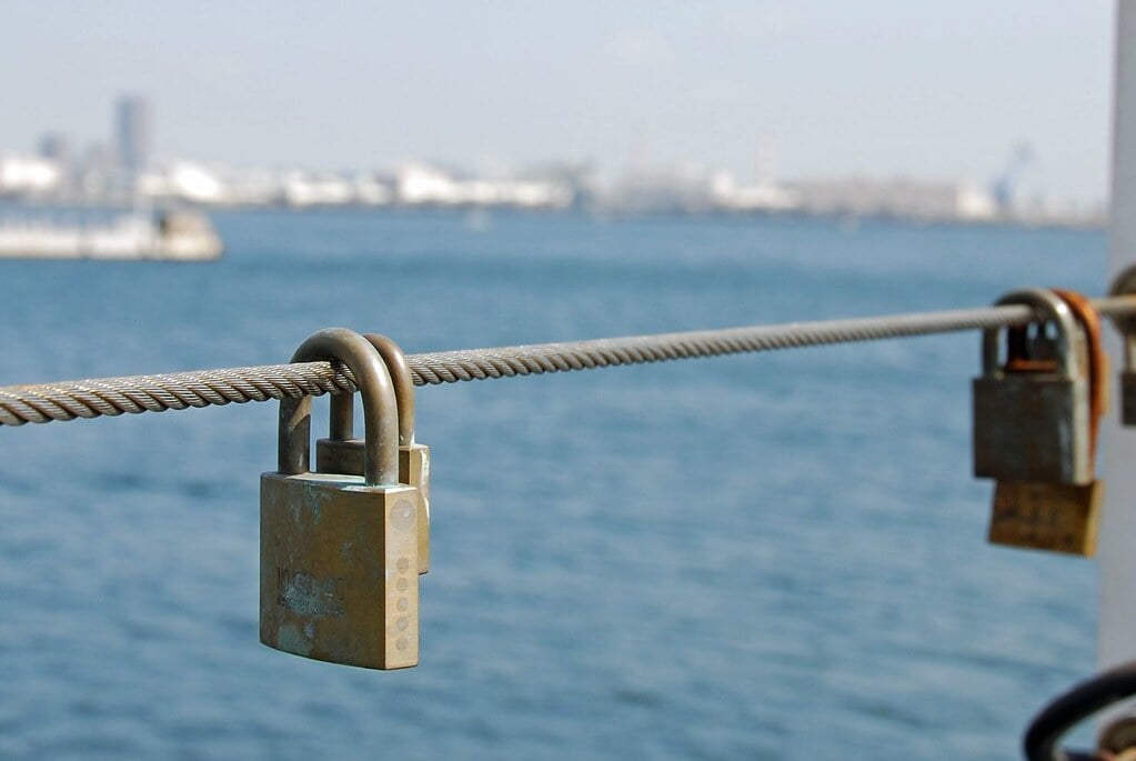 新港パークの写真4