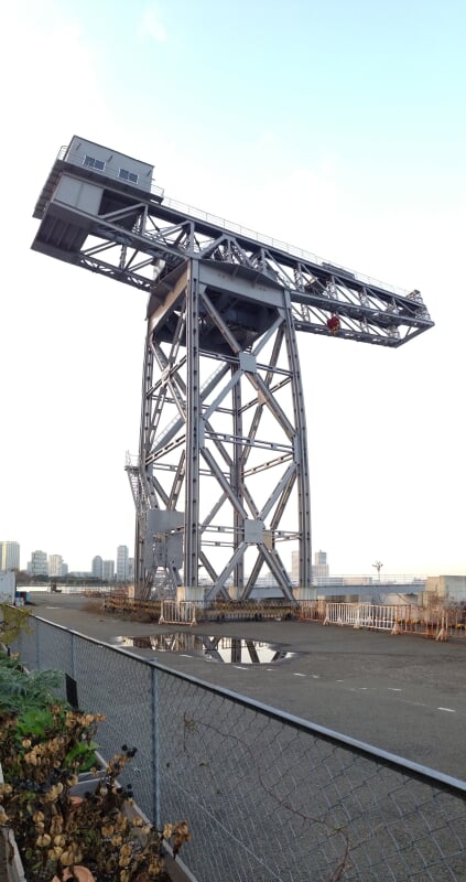 新港パークの写真5