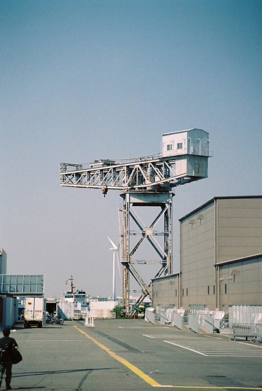 新港パークの写真6