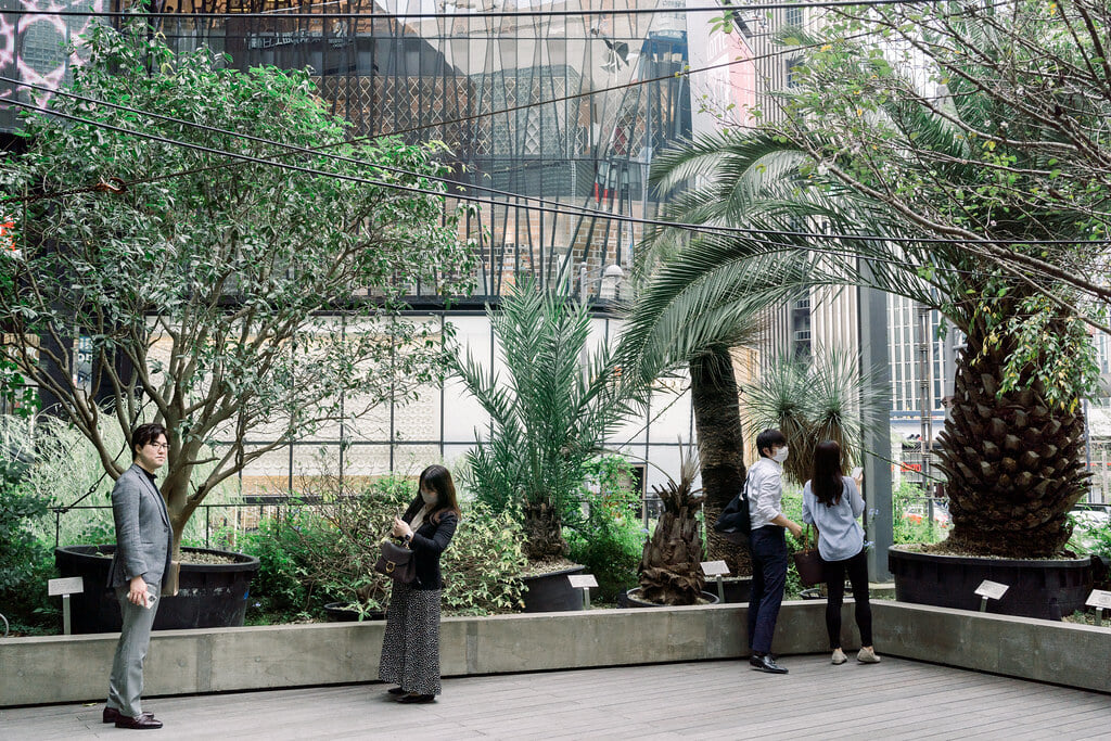 Ginza Sony Parkの写真2