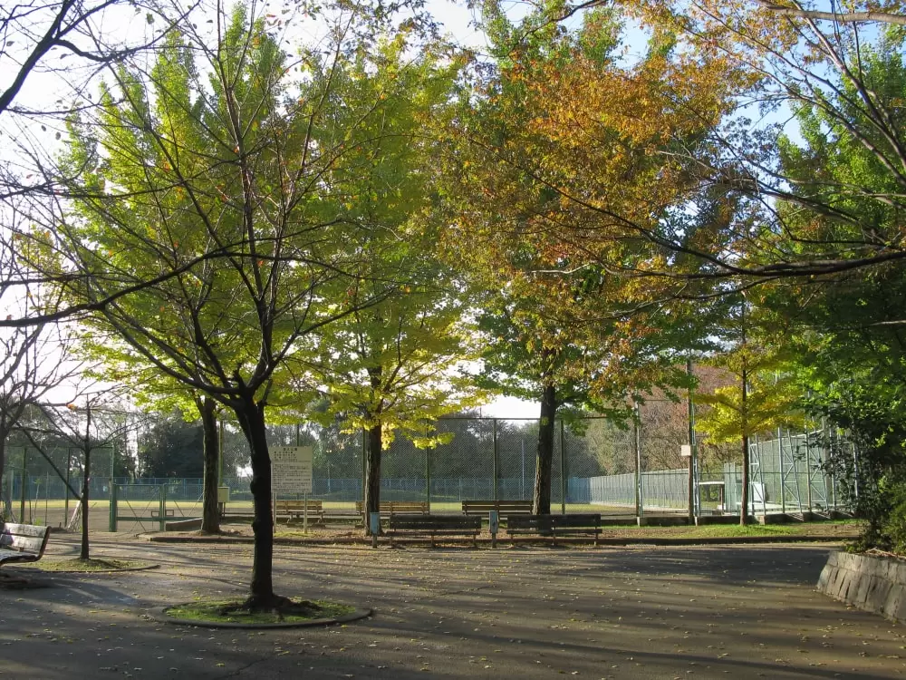 清久公園の写真1