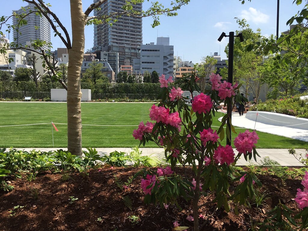 南池袋公園の写真3