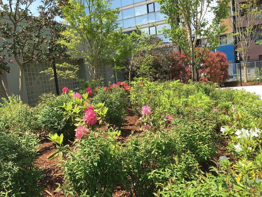 南池袋公園の写真5