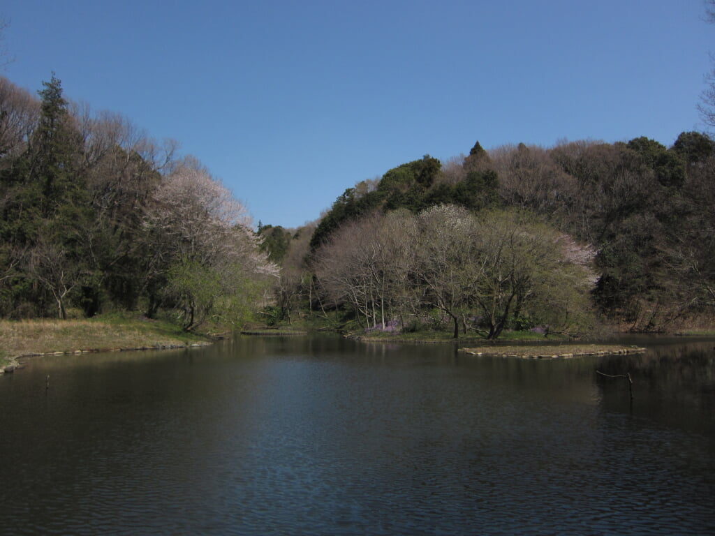 県立 座間谷戸山公園の写真2
