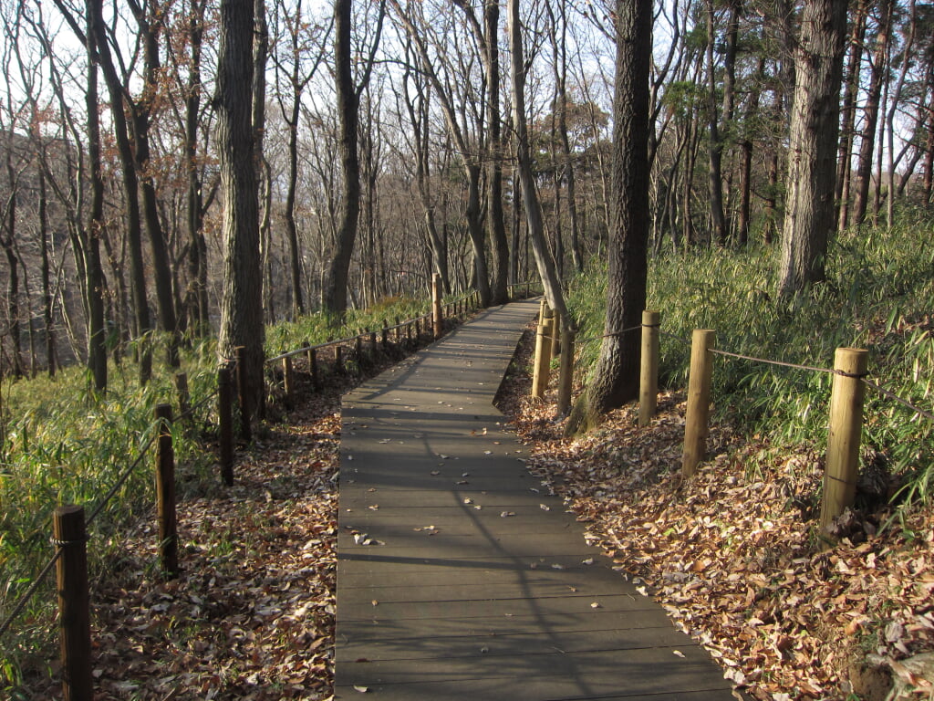 県立 座間谷戸山公園の写真1