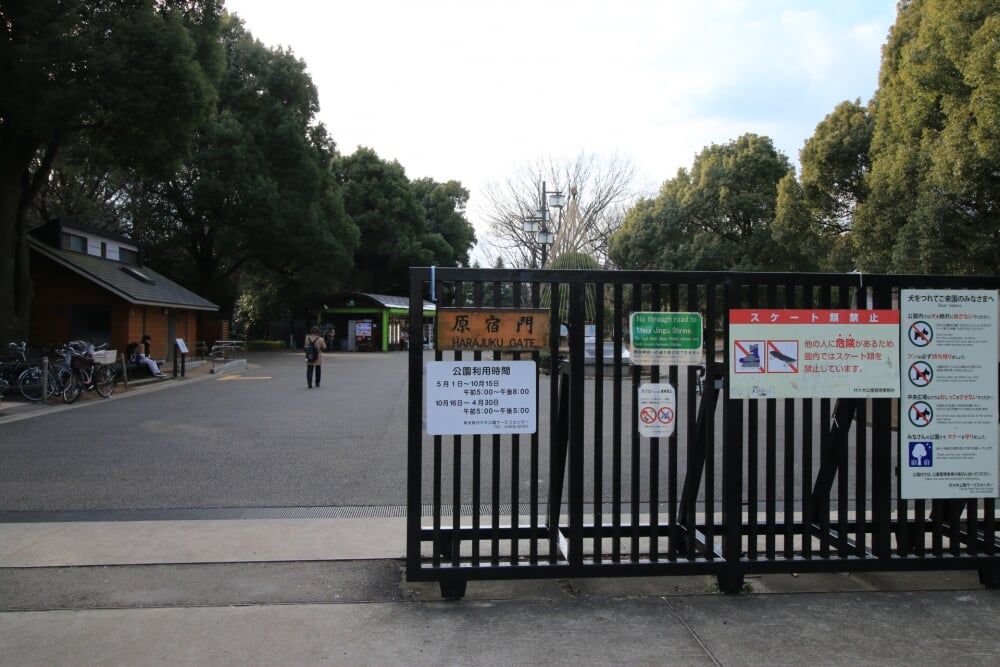 代々木公園の写真7