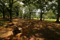 代々木公園