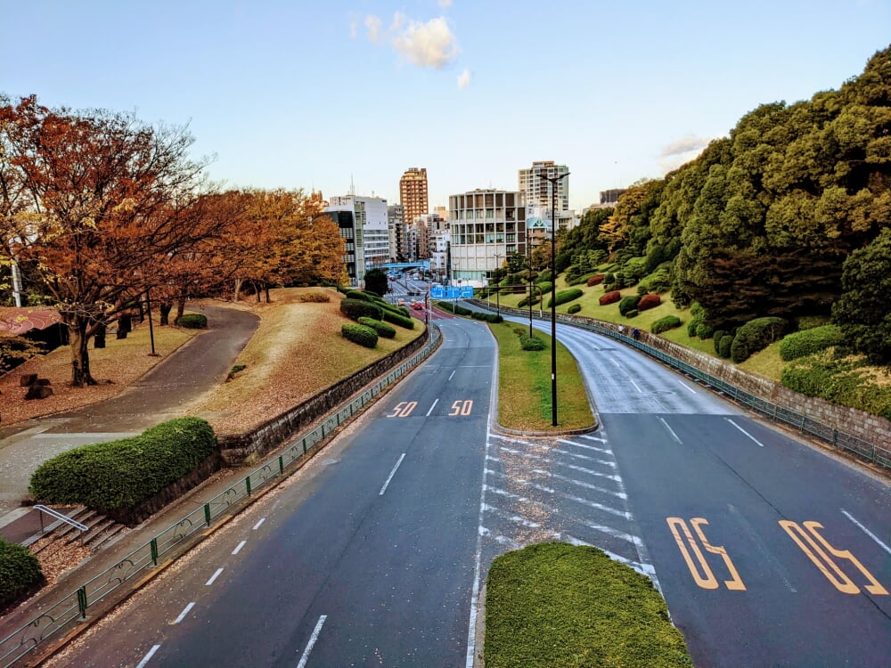 代々木公園の写真8