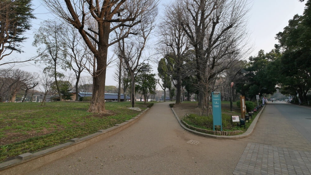 上野恩賜公園の写真3
