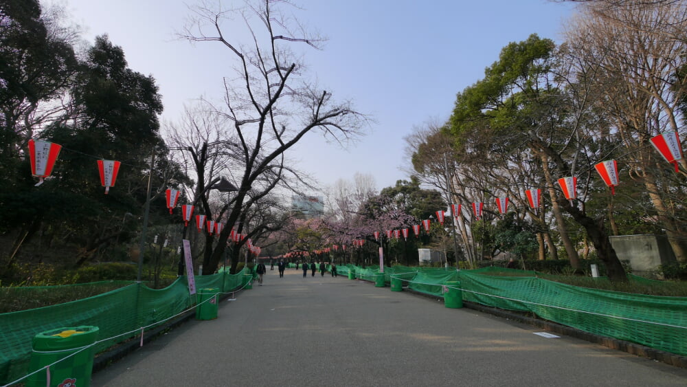上野恩賜公園の写真7