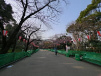 上野恩賜公園