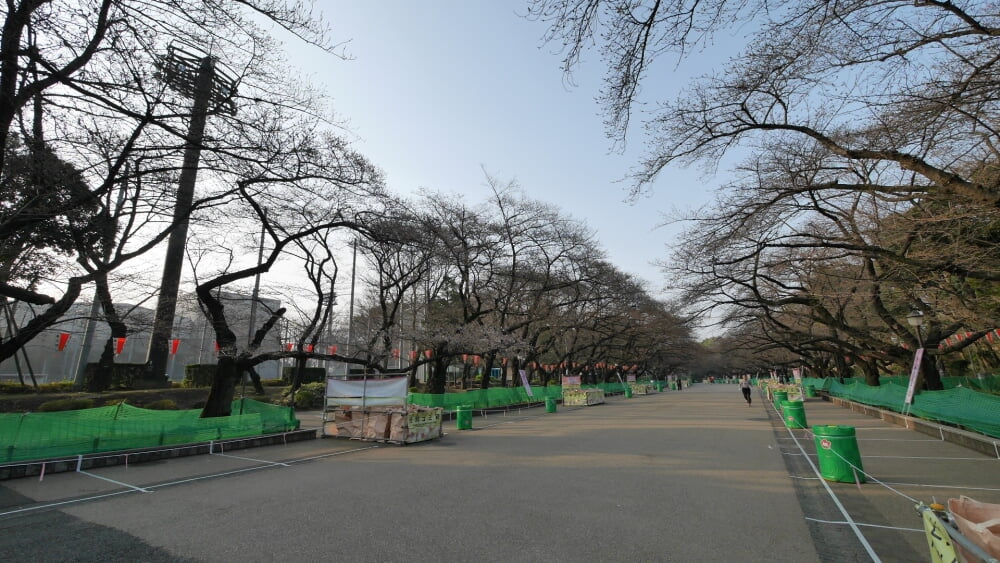 上野恩賜公園の写真8