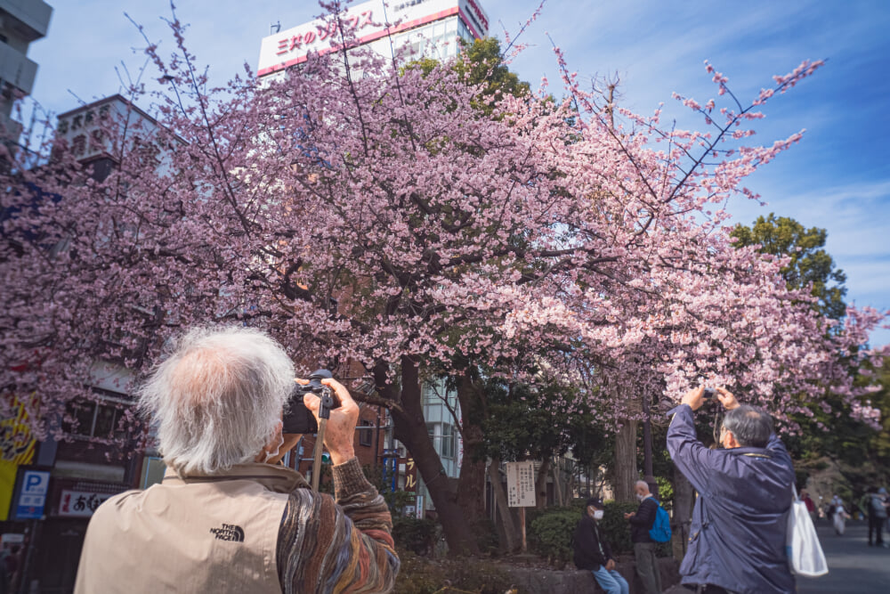 上野恩賜公園の写真9