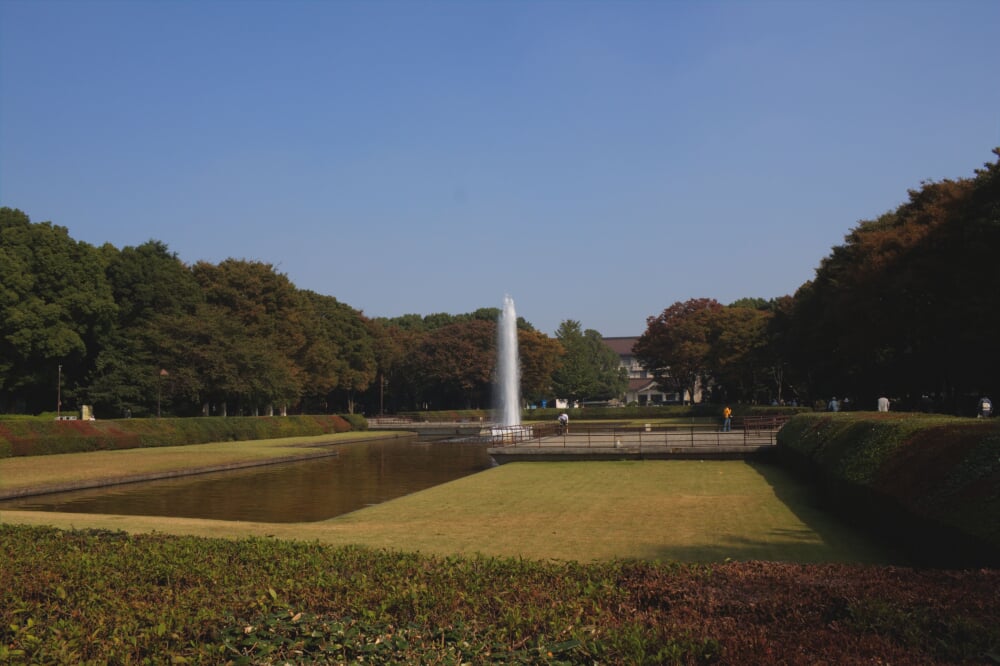 上野恩賜公園の写真10