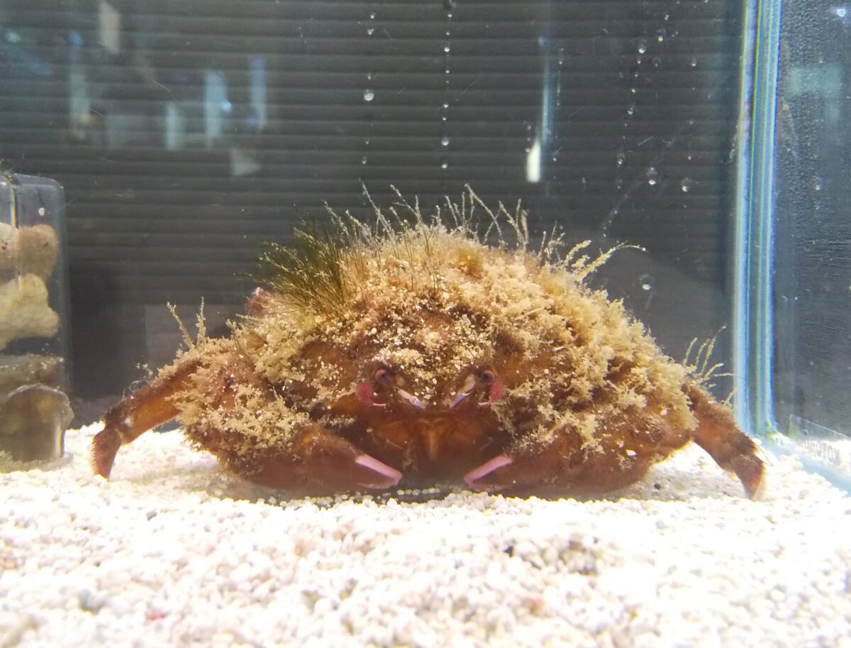 浜名湖体験学習施設 ウォットの写真3