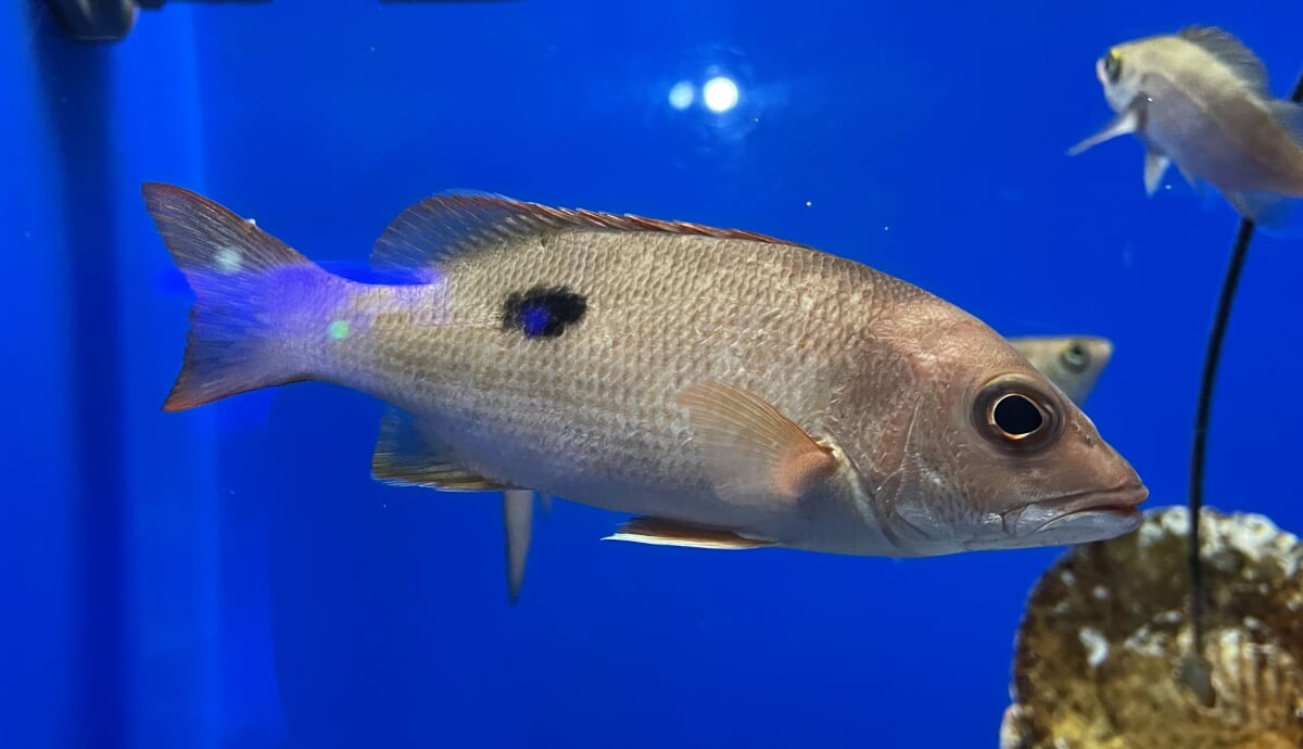 浜名湖体験学習施設 ウォットの写真5