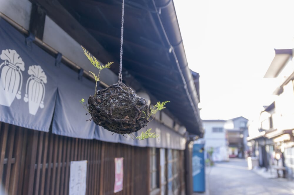 菓子屋横丁の写真4