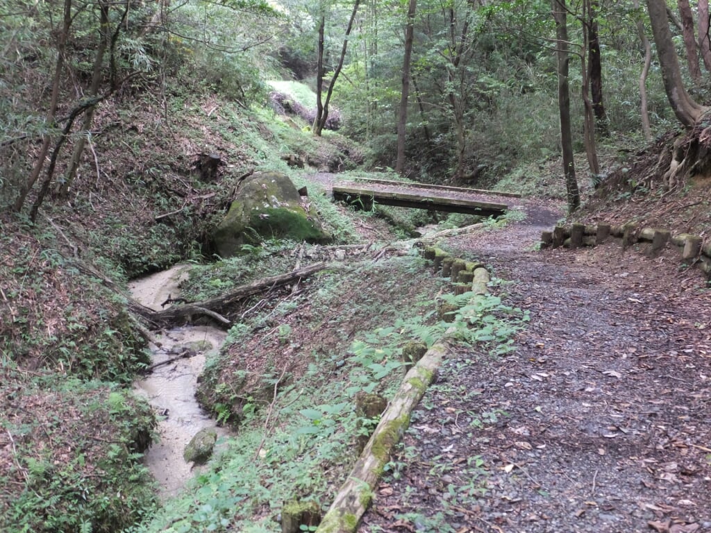 大阪府民の森 ほしだ園地の写真2