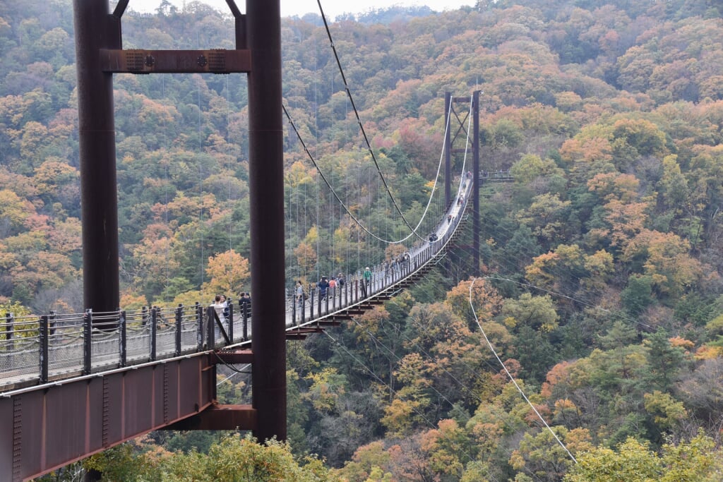 大阪府民の森 ほしだ園地の写真3