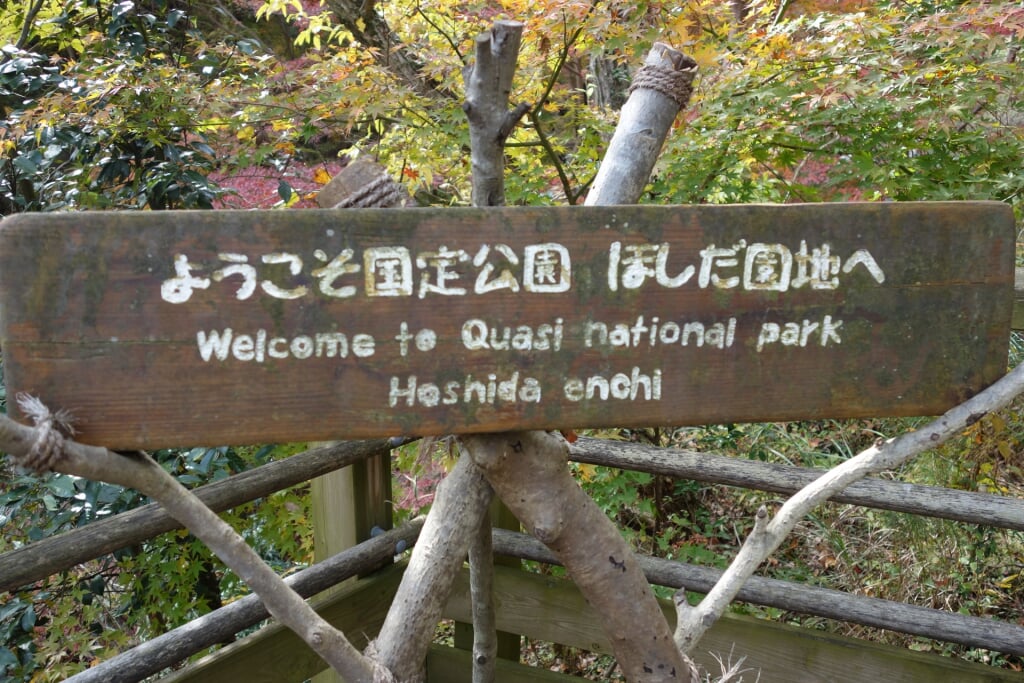 大阪府民の森 ほしだ園地の写真4