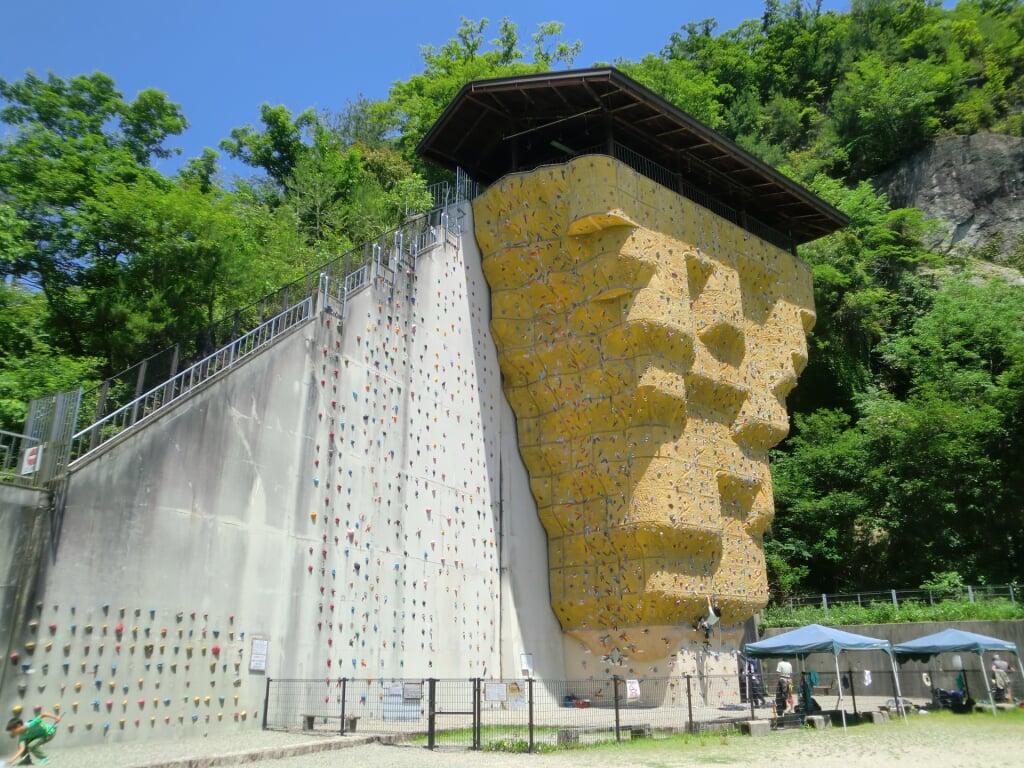 大阪府民の森 ほしだ園地の写真5