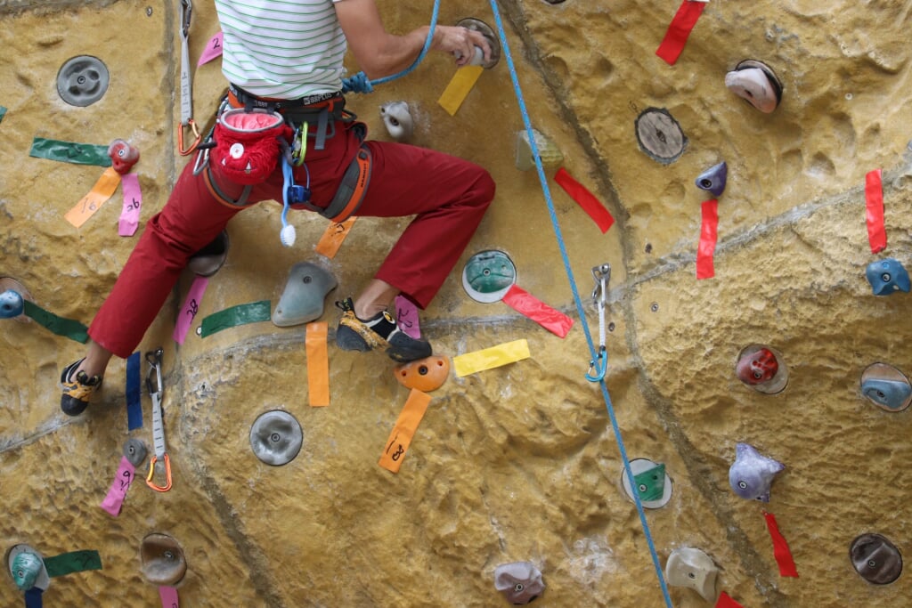 大阪府民の森 ほしだ園地の写真7