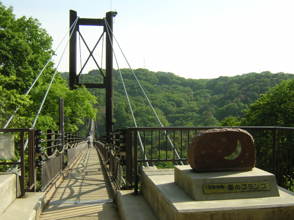 大阪府民の森 ほしだ園地の写真8