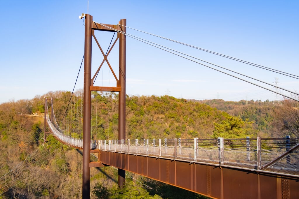 大阪府民の森 ほしだ園地の写真1