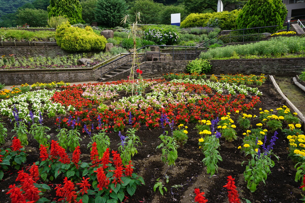 県立津久井湖城山公園の写真2