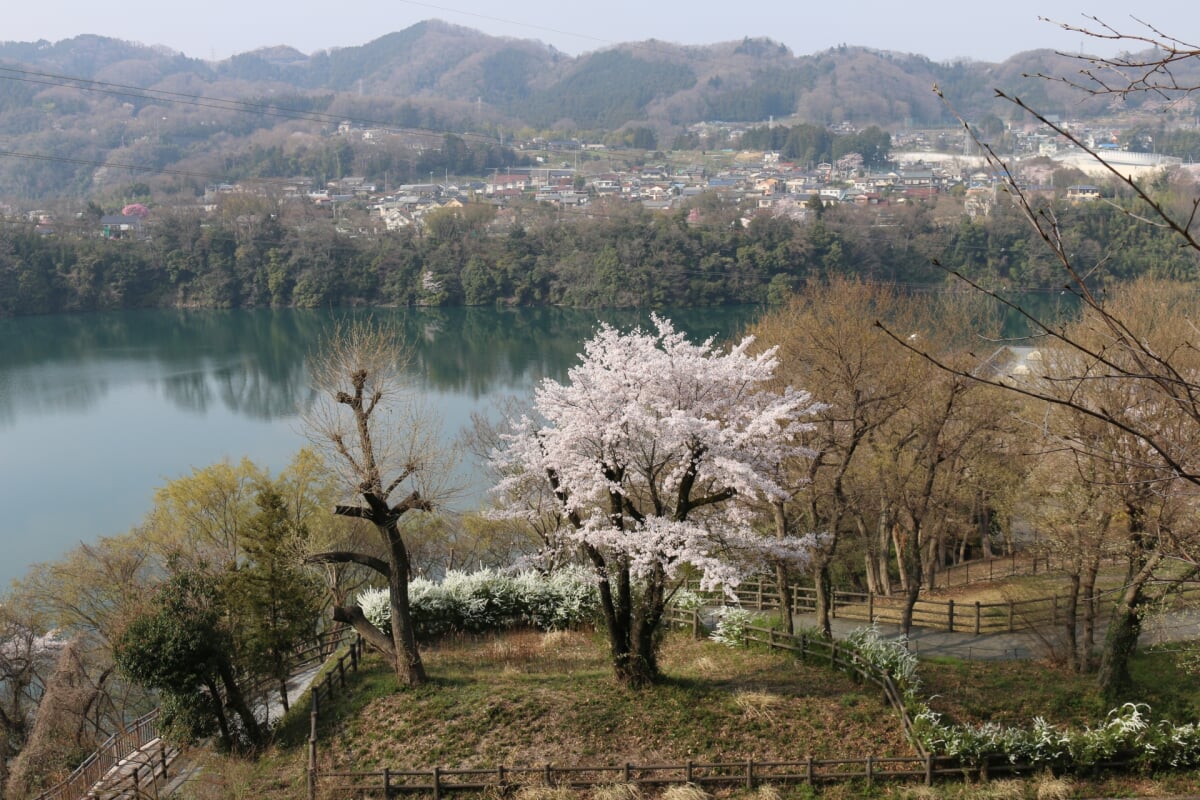 県立津久井湖城山公園の写真3