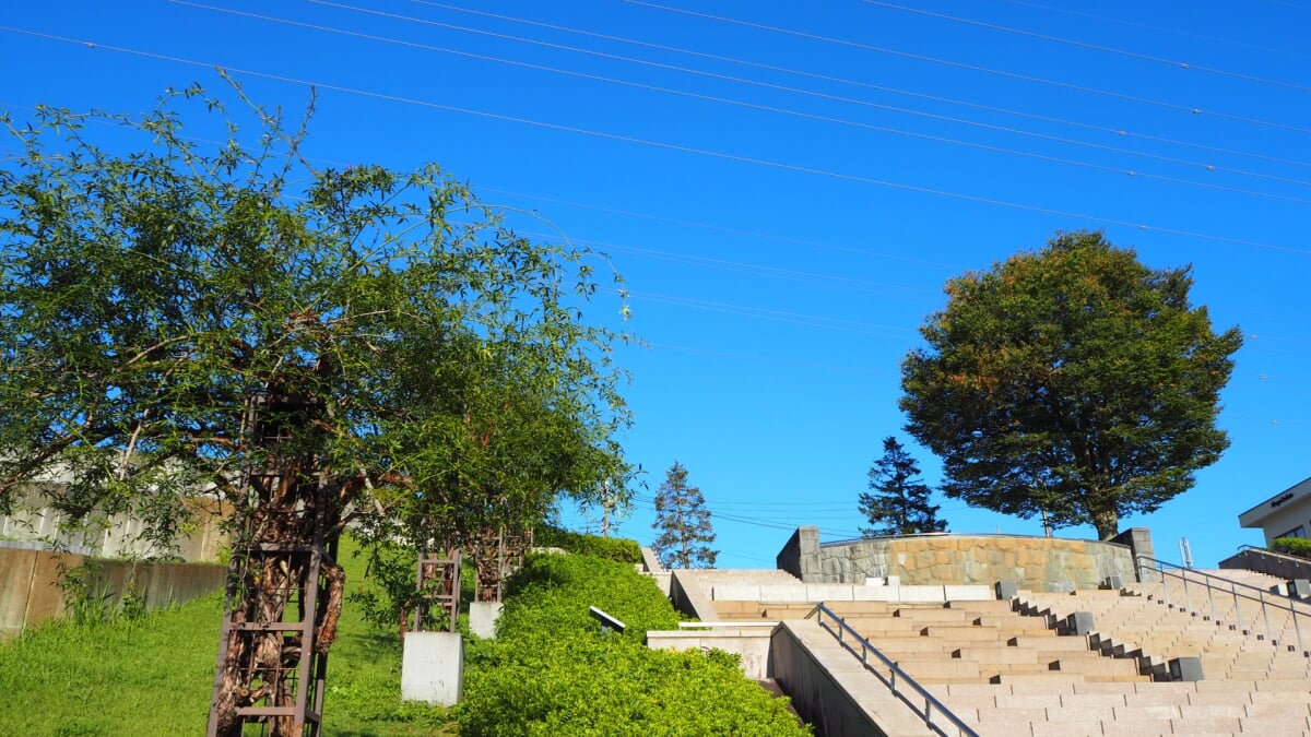県立津久井湖城山公園の写真5