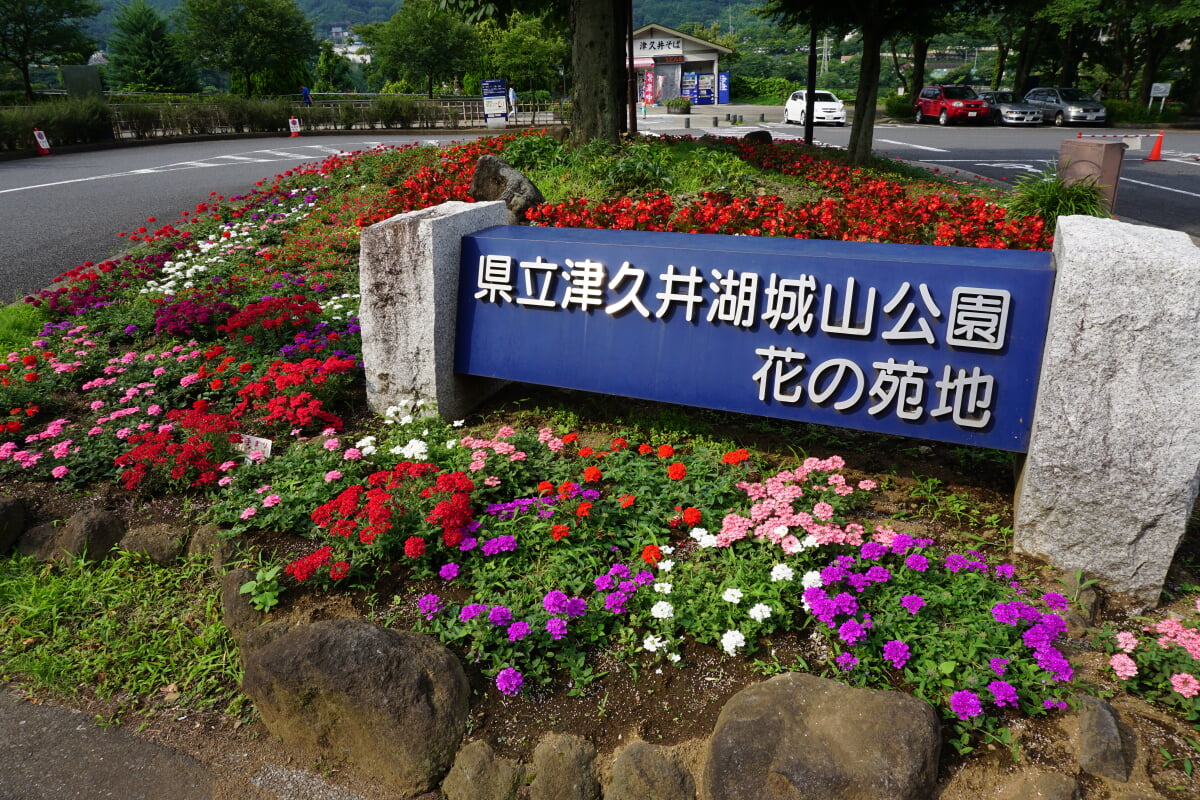 県立津久井湖城山公園の写真7