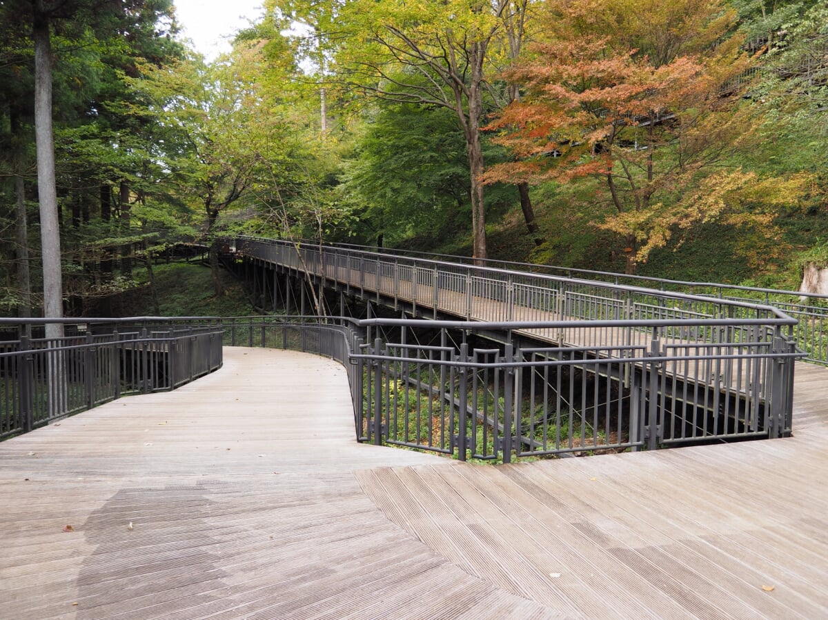 県立津久井湖城山公園の写真8