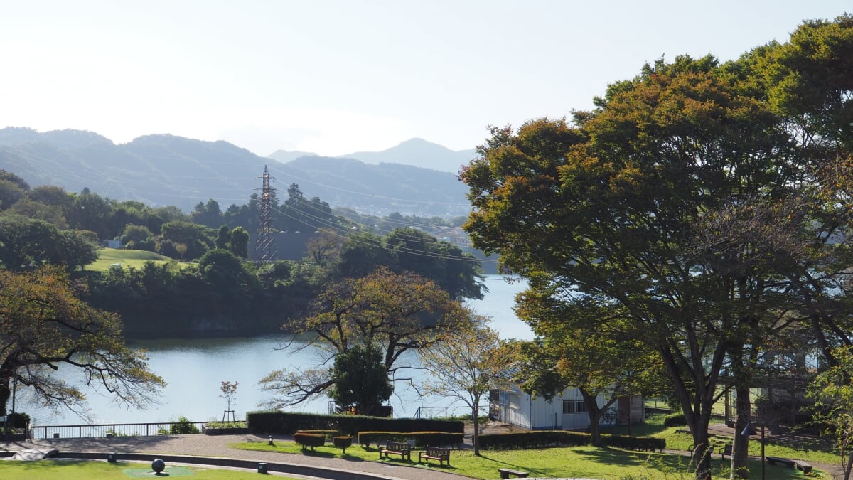県立津久井湖城山公園の写真9