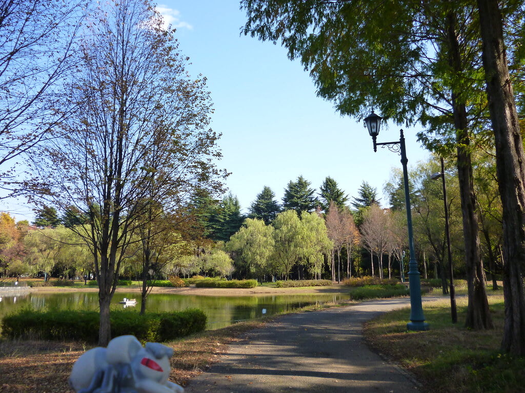 彩の森入間公園の写真5