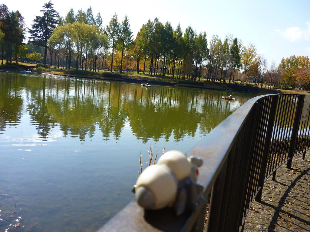 彩の森入間公園の写真6